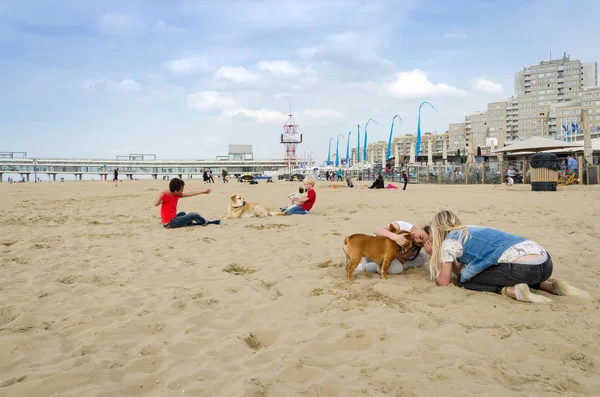 Den Haag, Nederland - 8 mei 2015: Kinderen spelen op het strand, Scheveningen district — Stockfoto