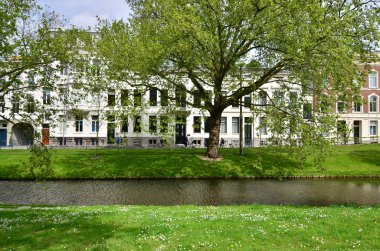 Westersingel Street near Museumpark in Rotterdam