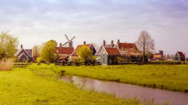 Yel değirmeni ve Zaanse Schans'a kırsal evleri. Tilt-shift etkisi.