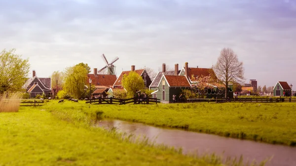 Větrný mlýn a venkovské domy v Zaanse Schans. Tilt-shift efekt. — Stock fotografie