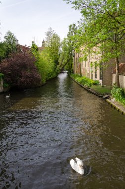 River of Begijnhof in Bruges