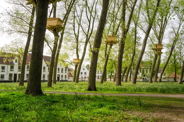 Дома на дереве в Бегинаже (Begijnhof) в Брюгге — стоковое фото