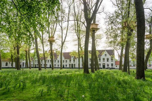 Tree Houses in the Begijnhof in Bruges — Stock Photo, Image