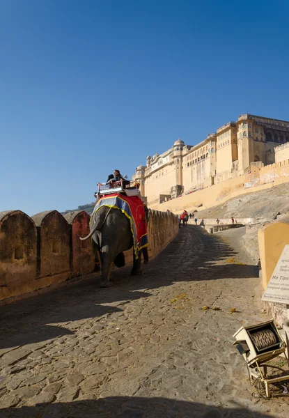 Jaipur, India - 29 Desember 2014: Gajah yang didekorasi di Amber Fort, Jaipur — Stok Foto