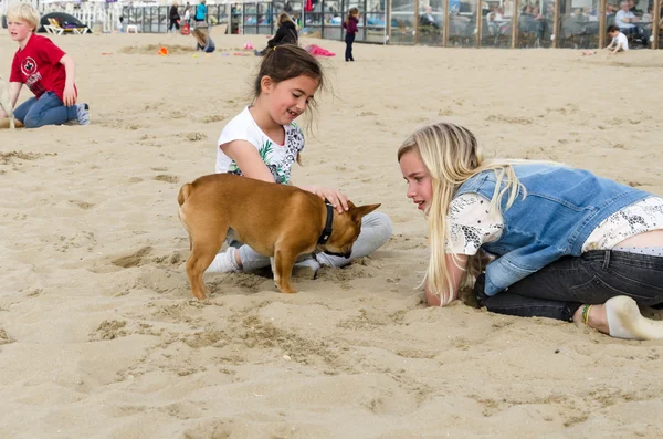 L'Aia, Paesi Bassi - 8 maggio 2015: Bambini che giocano in spiaggia, quartiere di Scheveningen all'Aia — Foto Stock