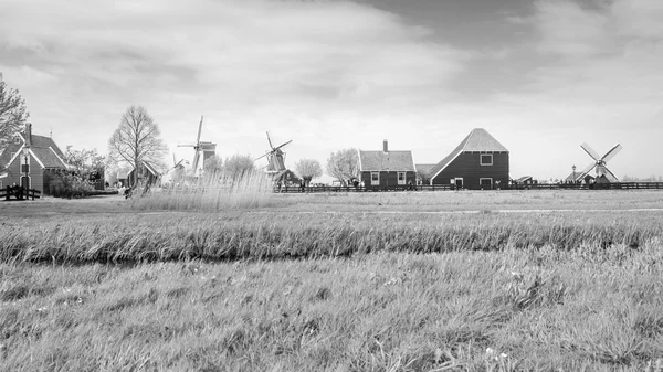 Větrné mlýny a venkovské domy v Zaanse Schans (černá a bílá) — Stock fotografie