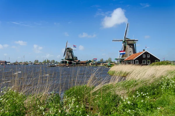 Wind mill of Zaanse Schans — Zdjęcie stockowe