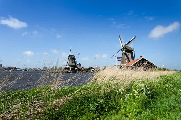 Větrný mlýn zaanse schans — Stock fotografie