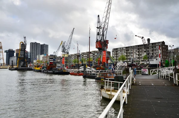 Rotterdam, Países Bajos - 9 de mayo de 2015: Personas en el distrito de Leuvehaven en Rotterdam —  Fotos de Stock