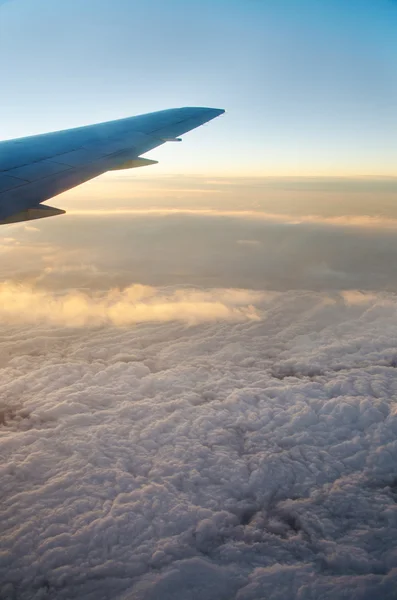 Wing aircraft at sunrise — Stock Photo, Image