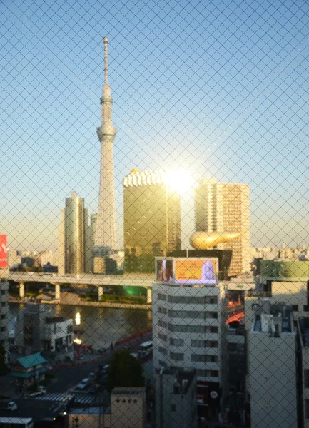 Tokyo Sky árvore edifício ao pôr do sol através de vidro com fio. Desfocado b — Fotografia de Stock
