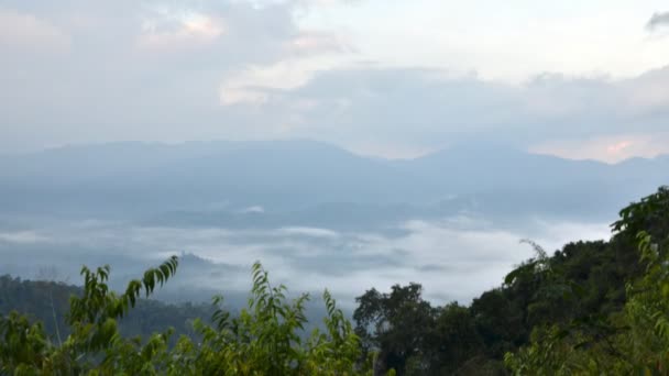 Morning mist at Khao Panoen Thung in Kaeng Krachan National Park, Phetchaburi, Timelapse Video — Stock Video