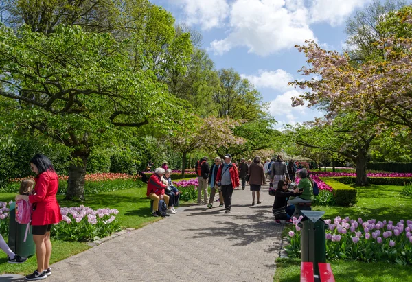 Lisse, Países Bajos - 7 de mayo de 2015: Los turistas visitan el famoso jardín de Keukenhof — Foto de Stock