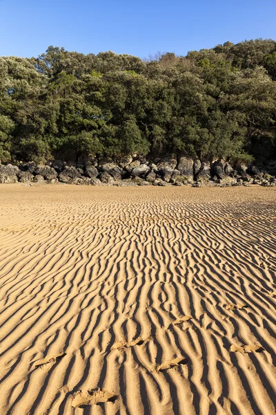 Footprints in sand during low tide — Stock Photo, Image