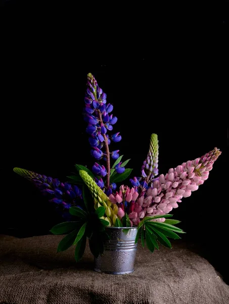 Small bouquet of lupines in a bucket — Stock Photo, Image