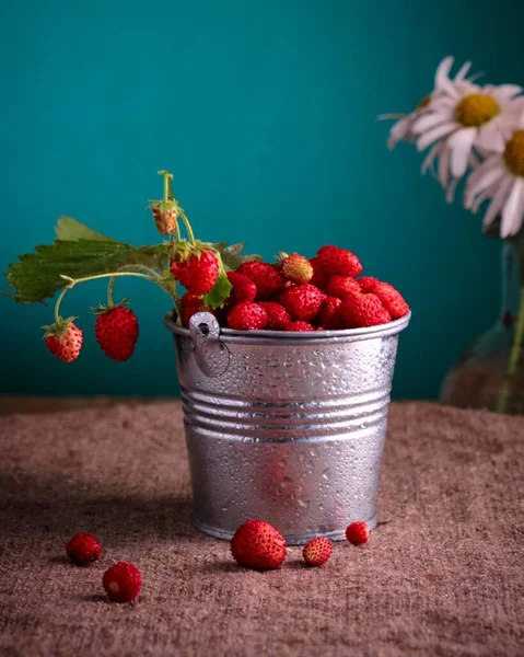 Bouquet from a camomile and wild strawberry — Stock Photo, Image