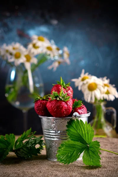 Bouquet from a camomile and wild strawberry — Stock Photo, Image