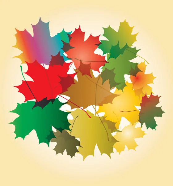 Feuilles tombantes automne érable, illustration vectorielle. — Image vectorielle