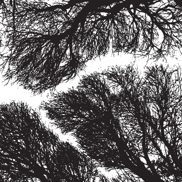 Vecteur de silhouette de brindilles d'arbres — Image vectorielle