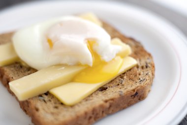 çılbır tost