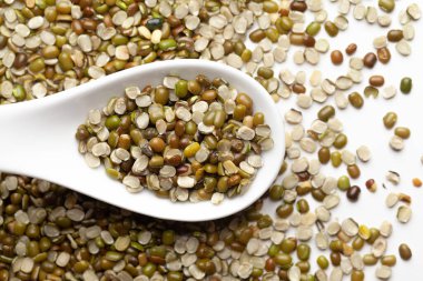 Beyaz seramik çorba kaşığında organik yeşil urad dalının (Vigna mungo) Macro yakın çekimi. Üst görünüm, kendi gradyan arkaplanı üzerinde.