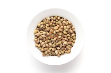 Beyaz arka planda organik kişniş (Coriandrum sativum) 'un Macro yakın çekimi. Hint Aromatik Baharatı Yığını. Üst görünüm