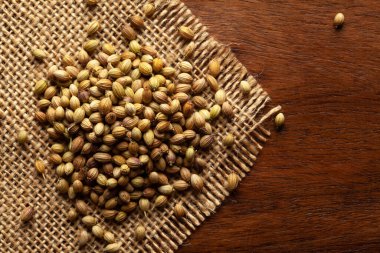 Ahşap arka plan ve jute mat üzerinde organik kişniş (Coriandrum sativum) yakın plan Macro. Hint Aromatik Baharatı Yığını. Üst görünüm