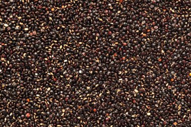 Organik Kara kinoa tohumları (Chenopodium kinoa) tam kare arkaplanda. Mikro Kapanış, Üst Görünüm.