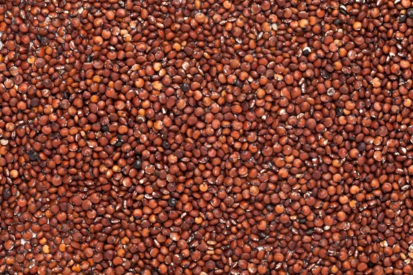 Bio Rote Quinoa Samen Chenopodium Quinoa Vollformat Hintergrund Mikro Nahaufnahme — Stockfoto