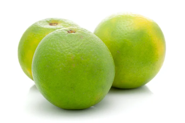 Organik Hint Citrus Meyvesi Tatlı Limetta Citrus Limetta Yeşil Sarı — Stok fotoğraf