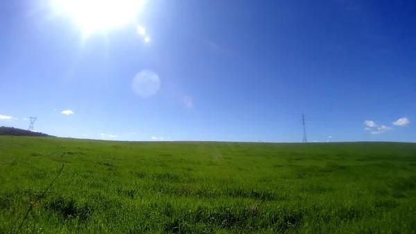 Campo de grama verde com nuvens brancas no céu azul — Fotografia de Stock