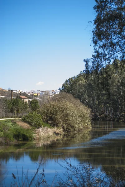 View of a river with a village background — Stock Photo, Image