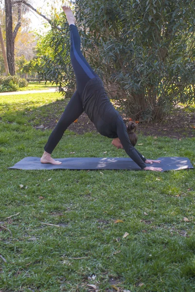 Güneşli bir günde pratik Yoga parkta güzel kadın — Stok fotoğraf