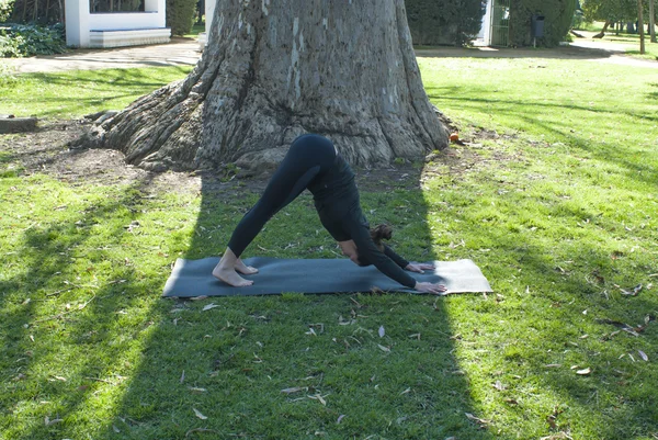 Vacker kvinna utövar yoga i parken på en solig dag — Stockfoto