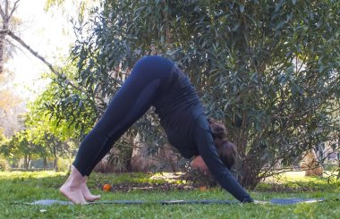 Güneşli bir günde pratik Yoga parkta güzel kadın