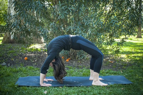 Mooie vrouw beoefenen van yoga in het park op een zonnige dag — Stockfoto