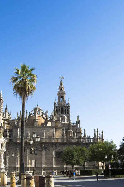 Catedral de Sevilha com a Torre Giralda em Sevilha chamado, Spai — Fotografia de Stock