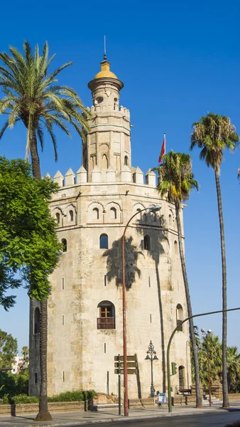 A Torre del Oro, Sevilla, Spanyolország-ban Kilátás — Stock Fotó