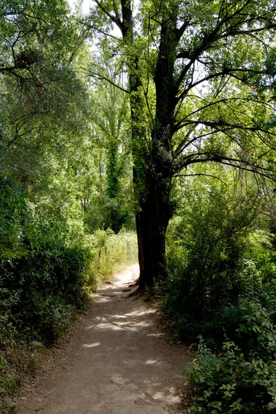 Wanderweg auf dem Land — Stockfoto