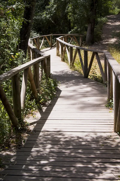 Trail in the countryside — Stock Photo, Image