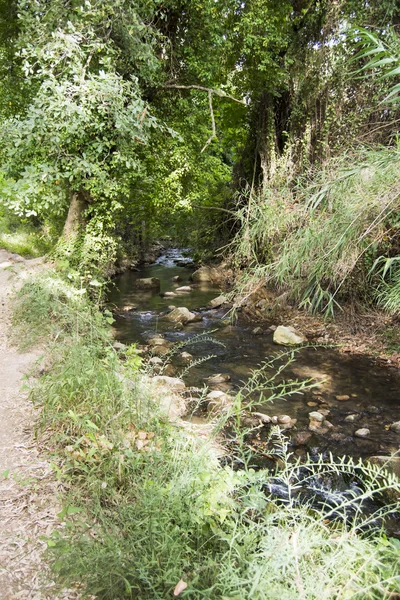 Paisaje de un río —  Fotos de Stock