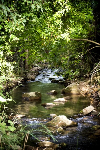 Krajina řeka — Stock fotografie