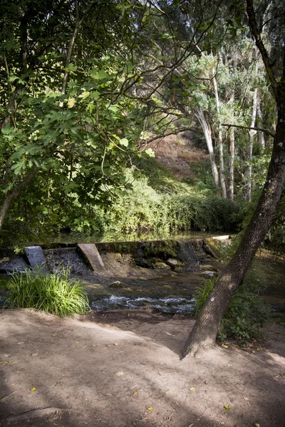 Paysage d'une rivière — Photo