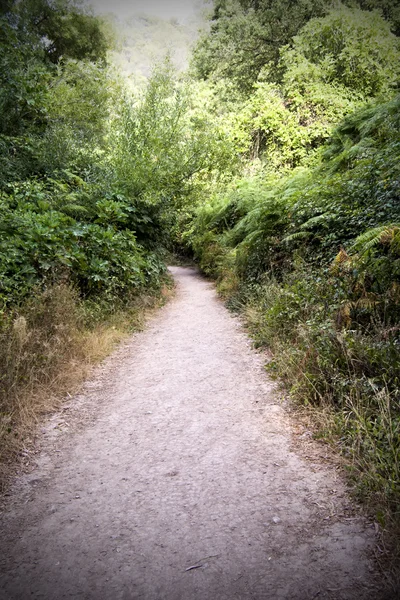 Trail in the countryside — Stock Photo, Image