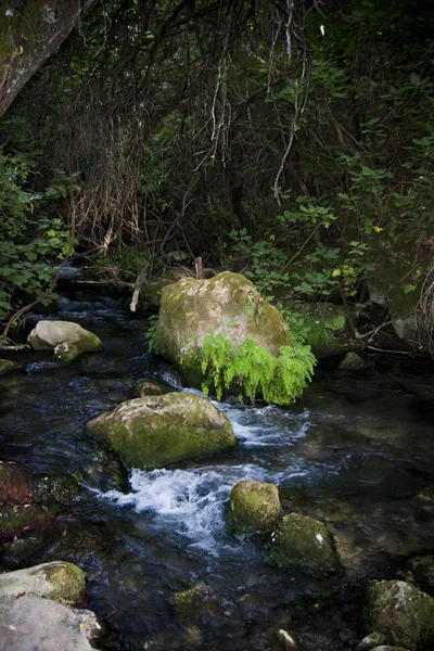 Krajina řeka — Stock fotografie