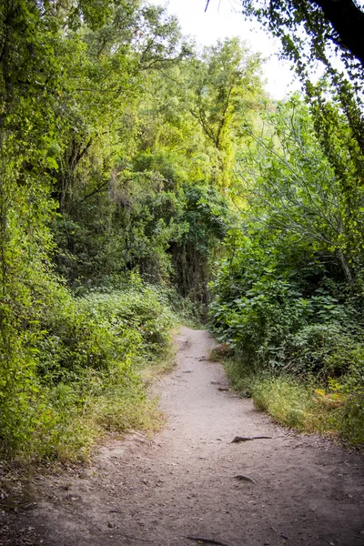 Wanderweg auf dem Land — Stockfoto