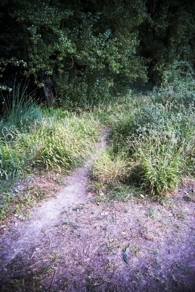 Wanderweg auf dem Land — Stockfoto