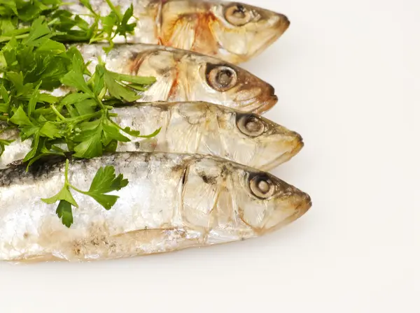 Fresh sardines with parsley leaves — Stock Photo, Image