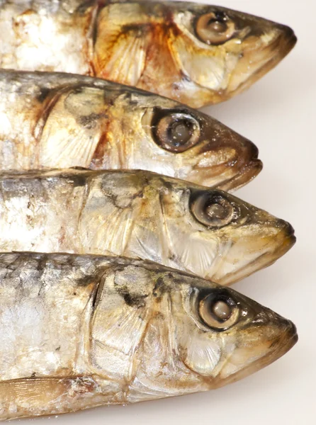 Fresh sardines on white background — Stock Photo, Image