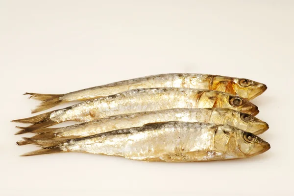 Fresh sardines on white background — Stock Photo, Image